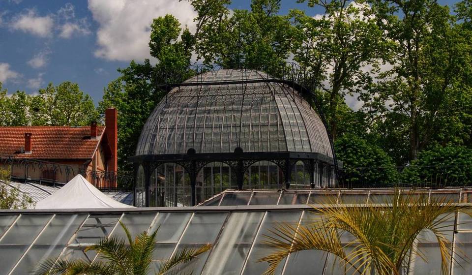 À Toulouse, ces sublimes serres abritent plus de 330 000 plantes, des glycines centenaires et un monument historique – et elles vous ouvrent gratuitement leurs portes le temps d&rsquo;un week-end en septembre