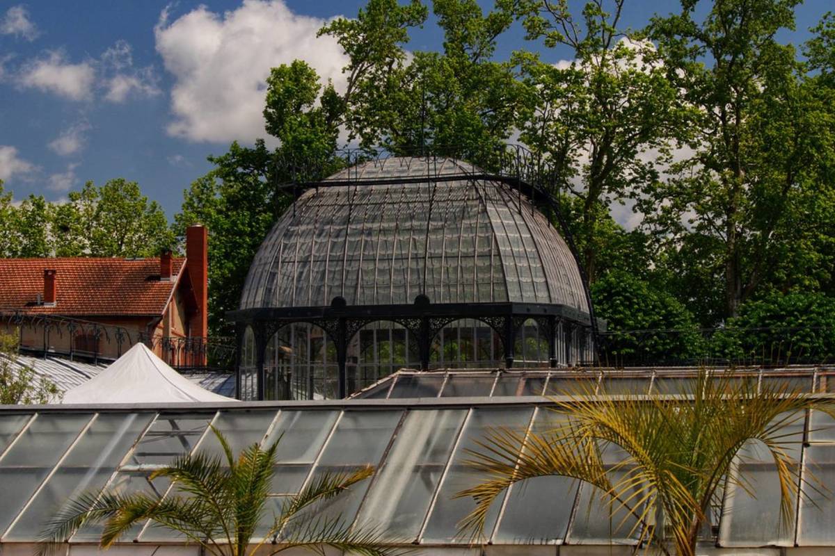 À Toulouse, ces sublimes serres abritent plus de 330 000 plantes, des ...