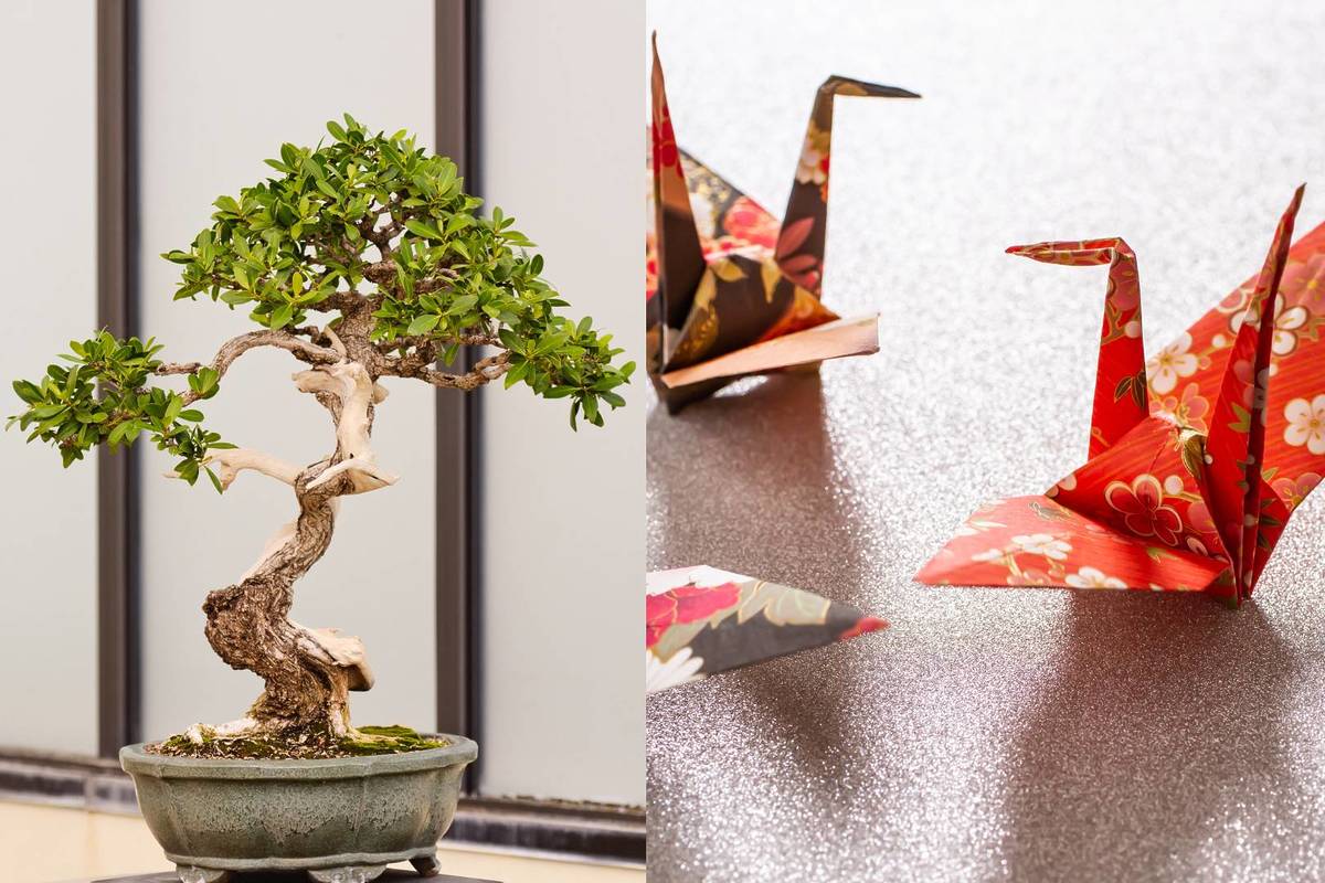 Tokyo Market Toulouse