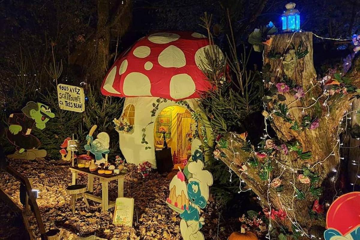 Forêt Enchantée de Mauressac