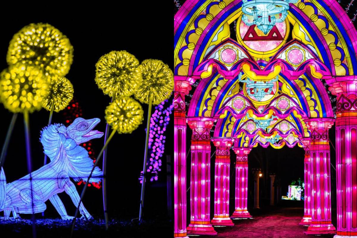 Féérie des Lanternes