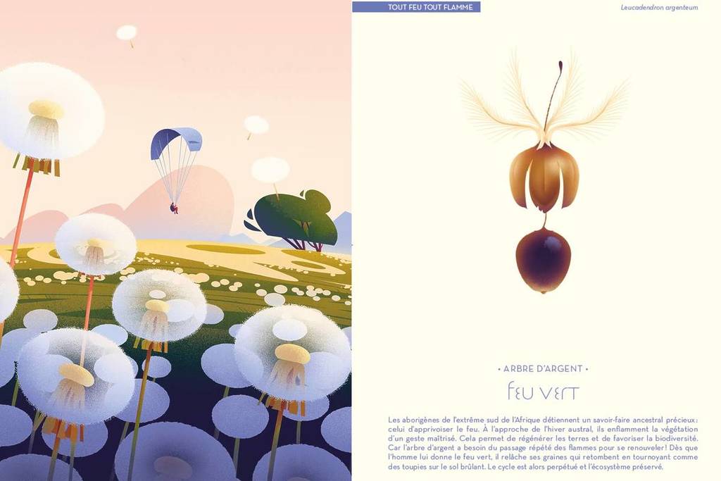 exposition Toulouse L’Odyssée des graines