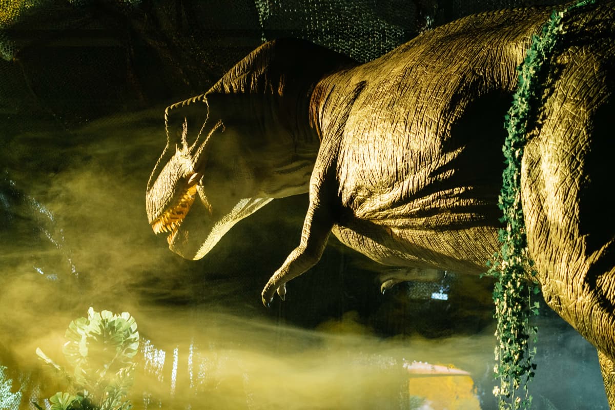 You’ll be able to travel back in time and encounter dinosaurs in this exhibition coming to Toulouse: here’s a tip to make sure you get tickets