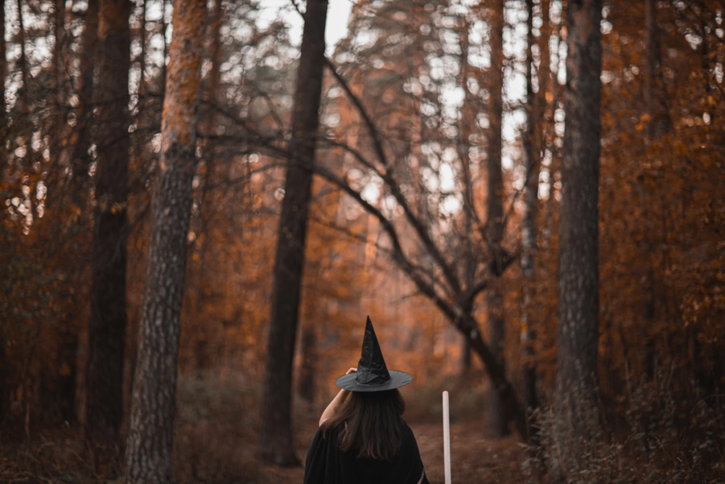 Quatre aventures ensorcelantes en famille la journée, survie face à des dizaines de zombies la nuit : comment la Forêt Magique de Toulouse réinvente les vacances de la Toussaint pour les petits comme pour les plus grands