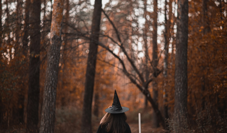 Quatre aventures ensorcelantes en famille la journée, survie face à des dizaines de zombies la nuit : comment la Forêt Magique de Toulouse réinvente les vacances de la Toussaint pour les petits comme pour les plus grands