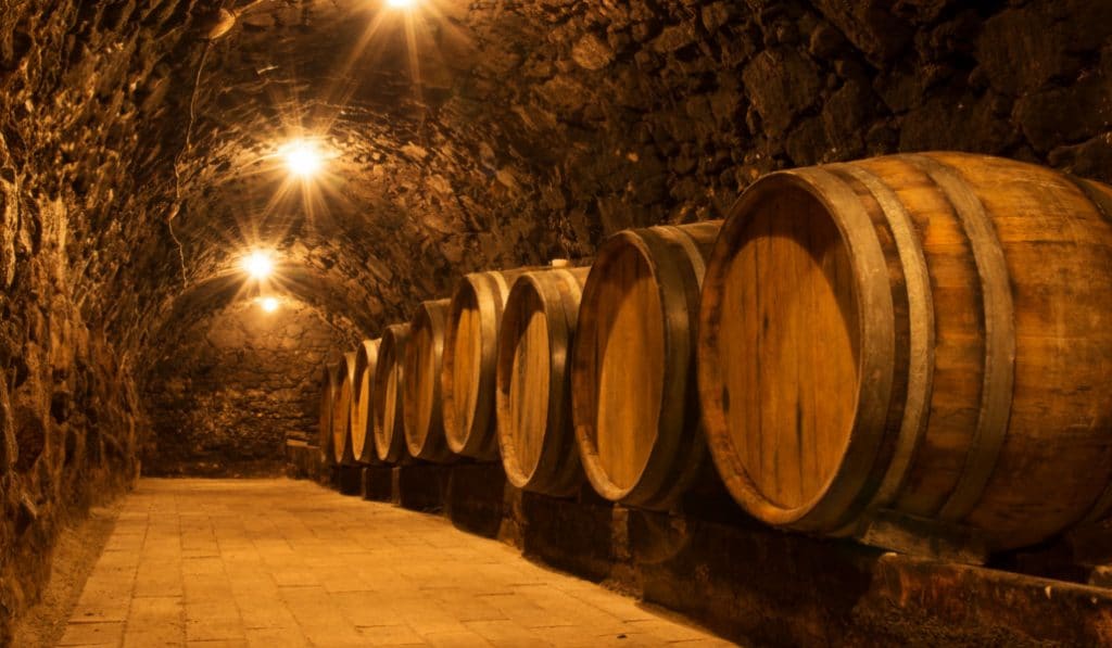 visita alle cantine della Comunità Valenciana