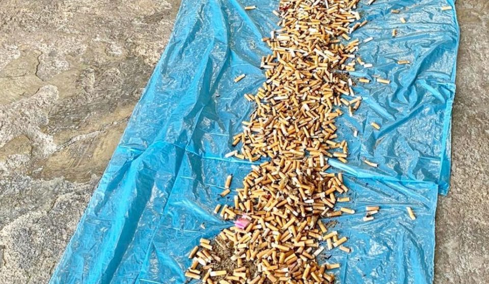 Recogen 11.550 colillas en la playa del Cabanyal