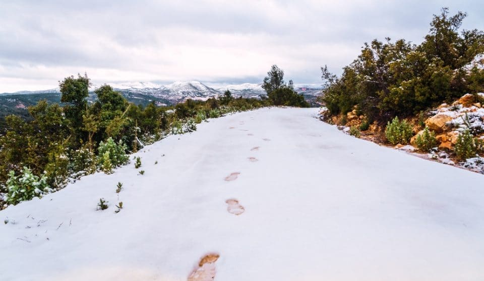 La Comunitat se prepara para temperaturas bajo cero y grandes placas de hielo