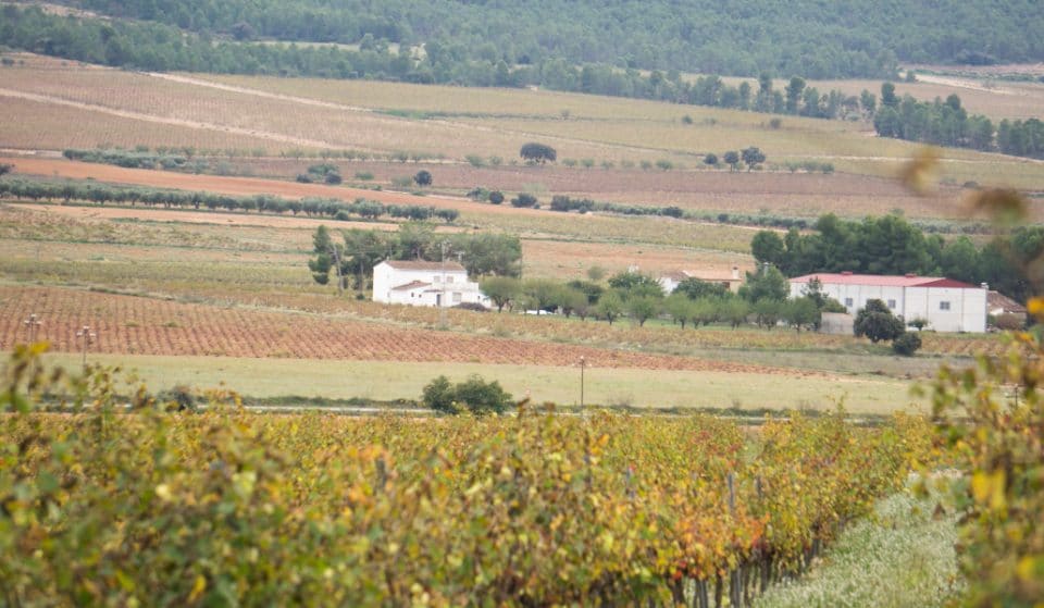 Terres dels Alforins: la Toscana valenciana
