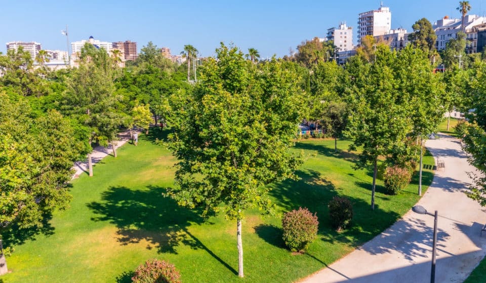 ¿Qué significa para Valencia ser Capital Verde Europea en 2024?