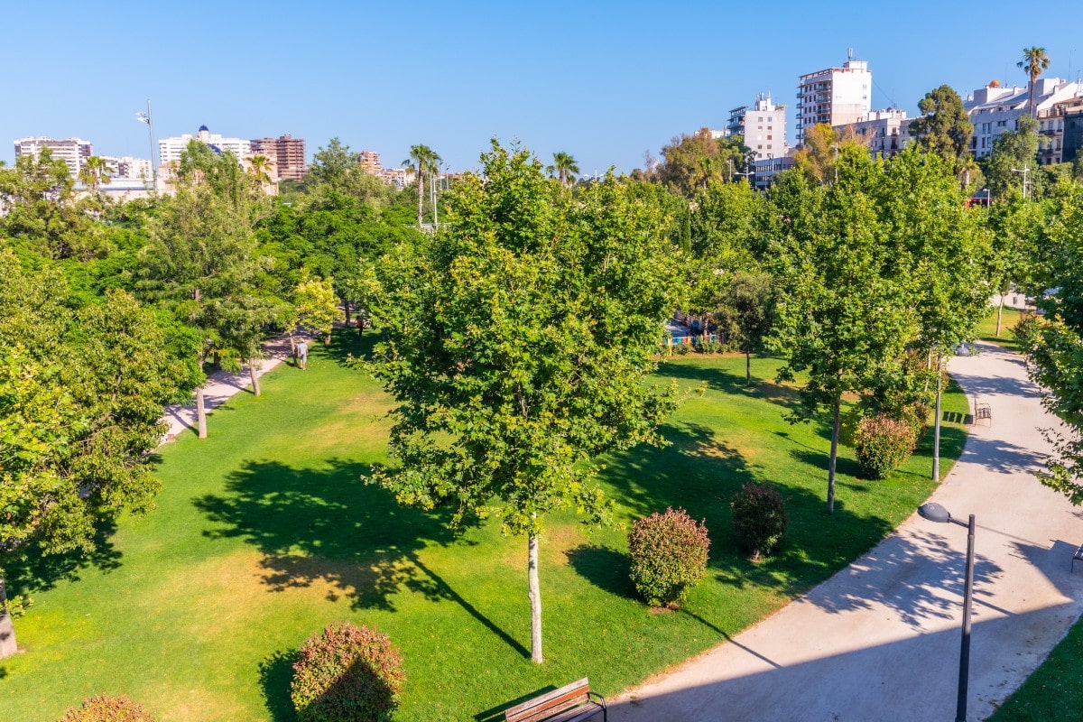 ¿Qué significa para Valencia ser Capital Verde Europea en 2024?