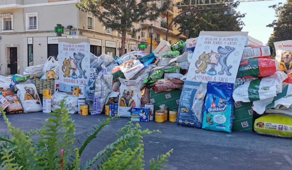 Valencia organiza esta semana una recogida de alimentos solidaria para animales