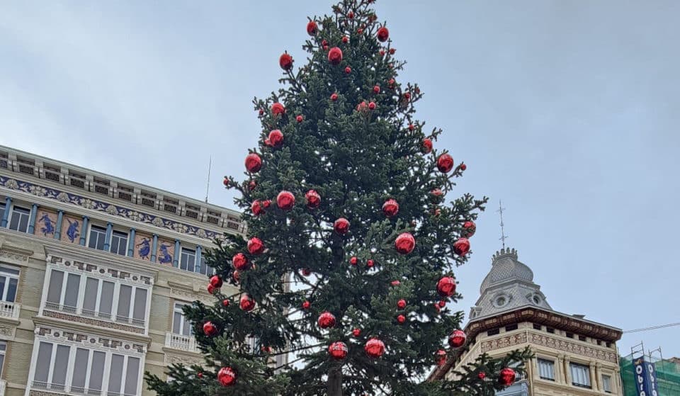 El otro árbol de Navidad de Valencia: un abeto natural de 11 metros