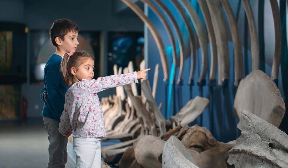 Night at the Museum Valencian version: This is the museum in which you can sleep