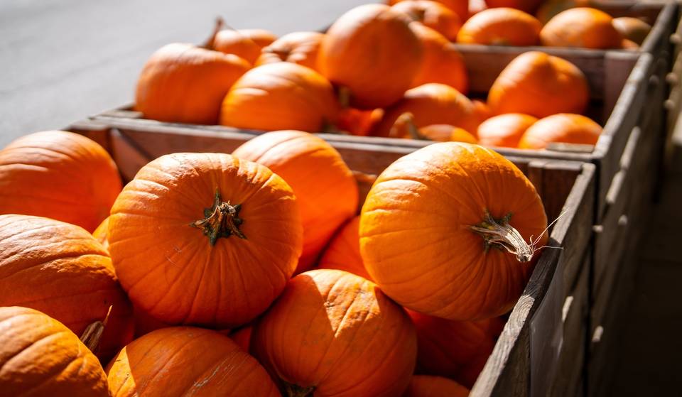 The pumpkin party in Valencia that doesn’t want to be a Halloween party