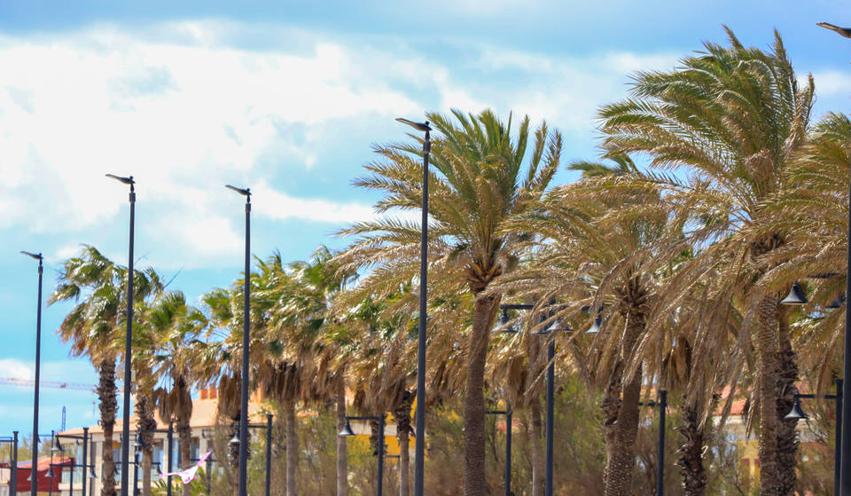 Valencia, allerta arancione questo lunedì per forti raffiche di vento