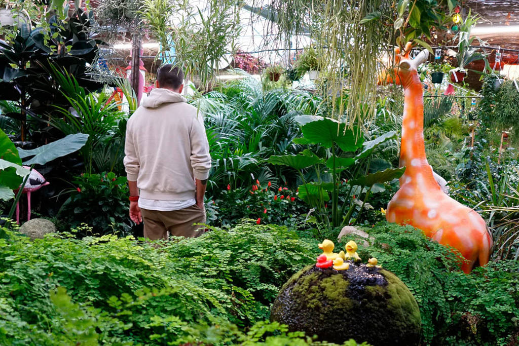 Più piante che in un negozio di fiori su Pinterest: il più grande vivaio familiare di Valencia con 15.000 m2 dedicati al giardinaggio.