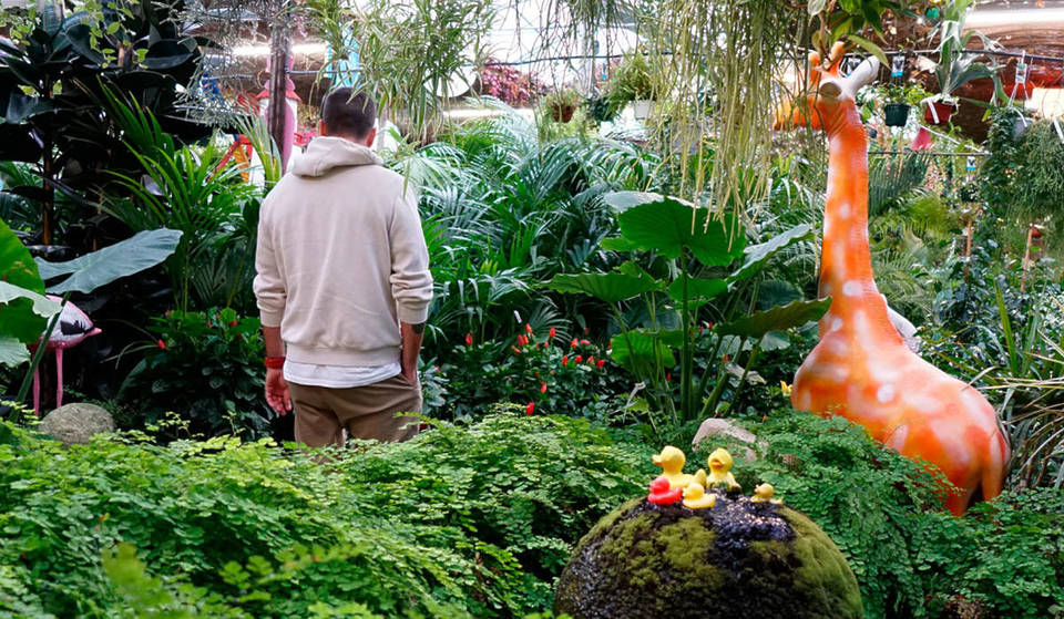 More plants than in a flower shop on Pinterest: the largest family nursery in Valencia with 15,000 m2 dedicated to gardening.