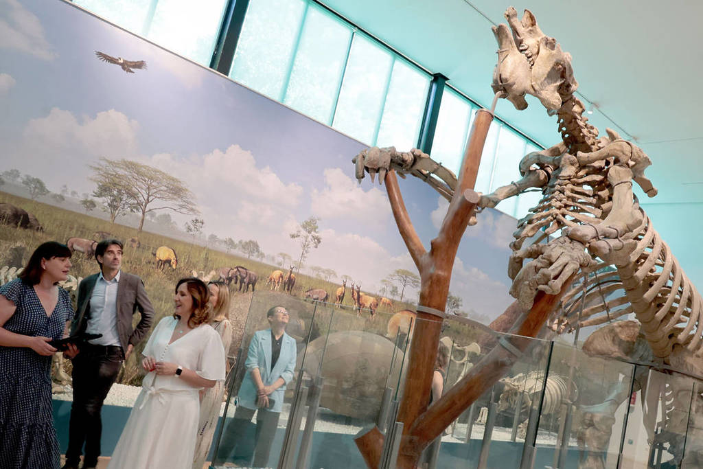 El museo de Valencia que cambia de nombre después de 136 años: tendrá realidad aumentada y cine 3D