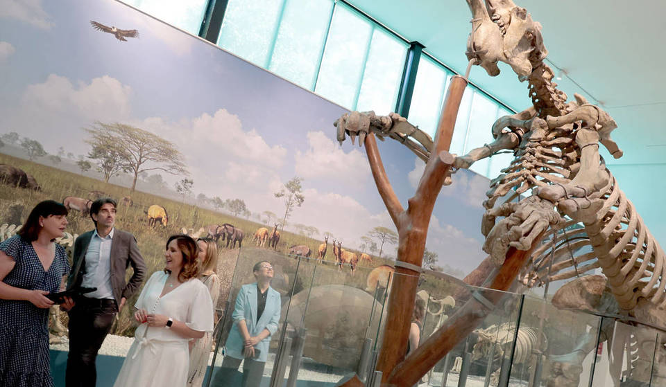 El museo de Valencia que cambia de nombre después de 136 años: tendrá realidad aumentada y cine 3D