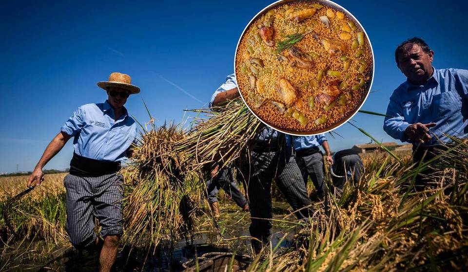 Festa del raccolto di Valencia questa domenica: paella a 5 euro, showcooking e gite in barca sull’Albufera
