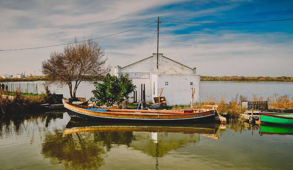 Las inscripciones abren este lunes: visitas gratuitas a la Albufera durante el mes de julio con transporte y paseo en barca para ver la puesta de sol