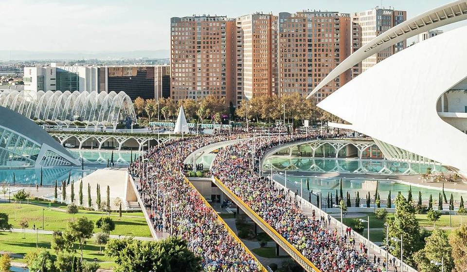 Brunch con vistas a la maratón de Valencia: una experiencia exclusiva con visita guiada por 50€ en Les Arts