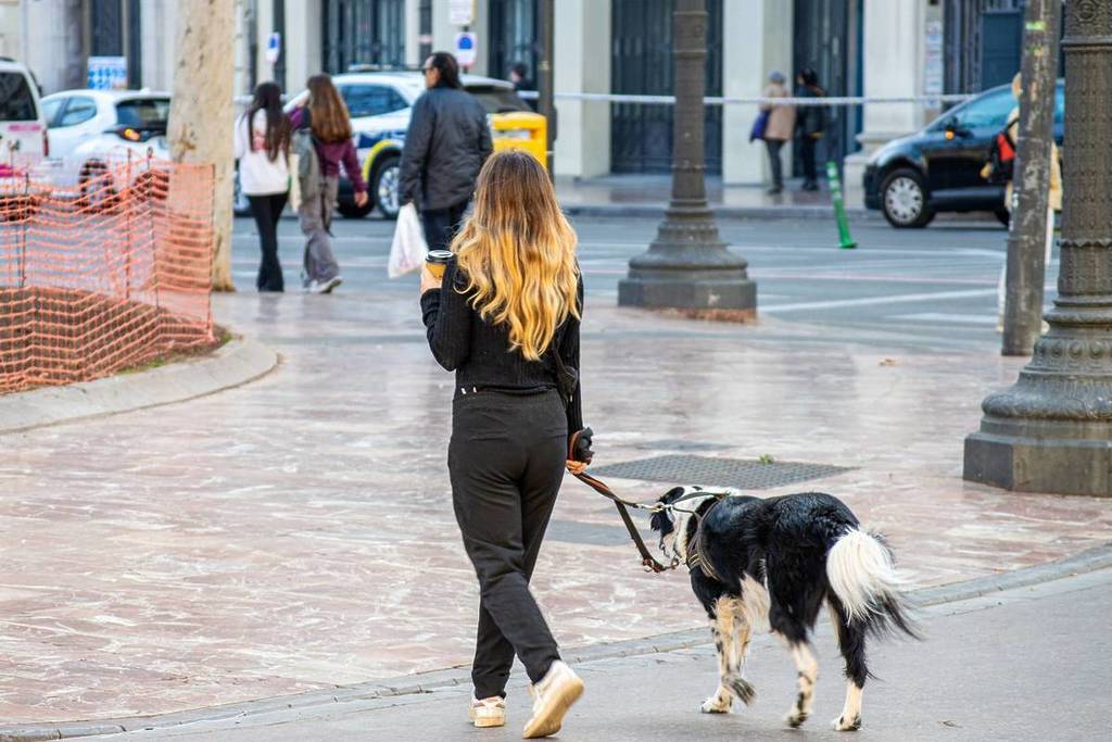 Up to 3,000 € for spitting in the street and 1,500 € for not picking up your dog’s droppings: the new fines coming to Valencia