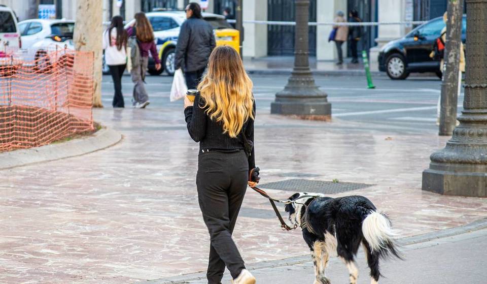 Up to 3,000 € for spitting in the street and 1,500 € for not picking up your dog’s droppings: the new fines coming to Valencia