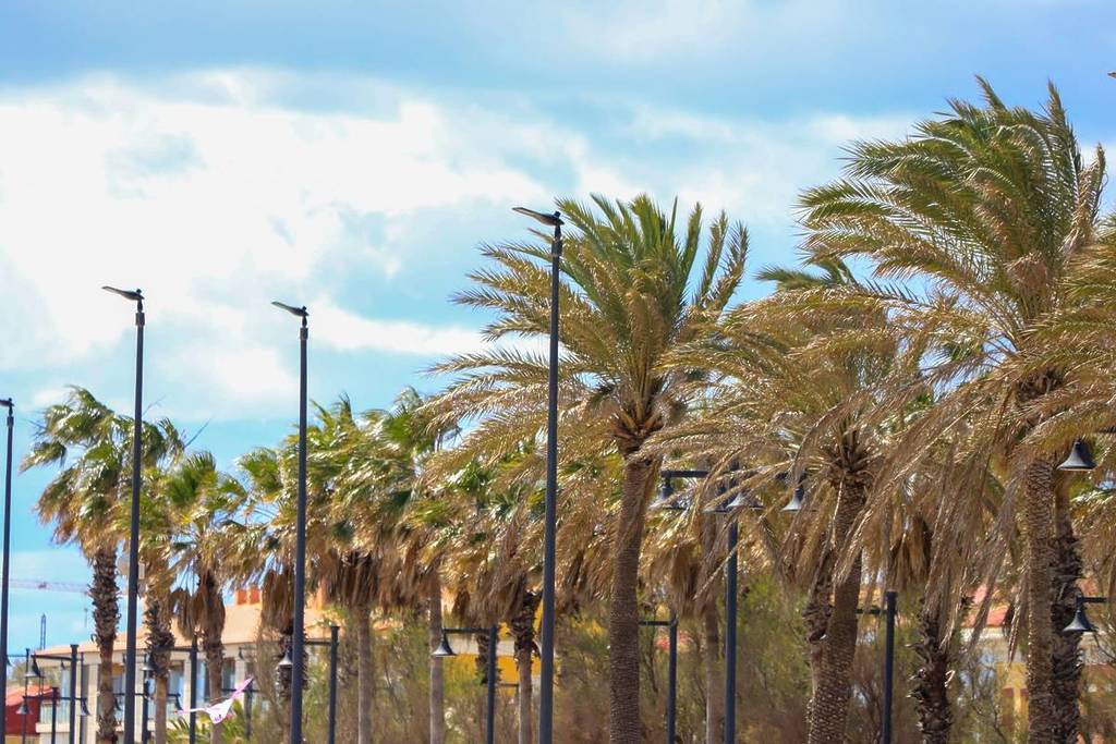Nueva alerta naranja por viento en Valencia para este martes: rachas de 90 kilómetros por hora