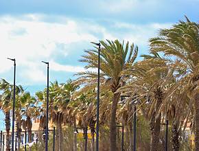 Nueva alerta naranja por viento en Valencia para este martes: rachas de 90 kilómetros por hora