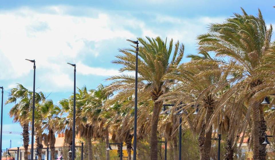 New orange alert for wind in Valencia for Tuesday: gusts of 90 kilometers per hour