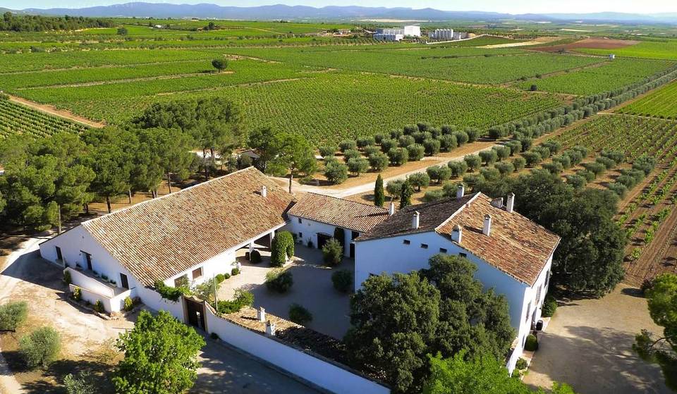 Por 20 euros puedes recorrer en tren esta bodega histórica a las afueras de Valencia con cata de 3 vinos y tabla de ibéricos