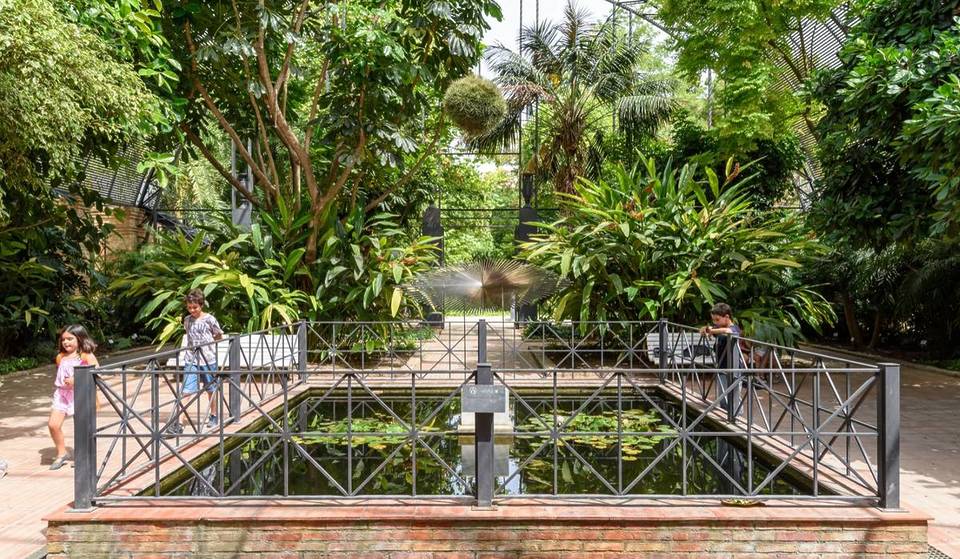 This Saturday, the Valencia Botanical Garden opens for free for Forest Day: hours and details