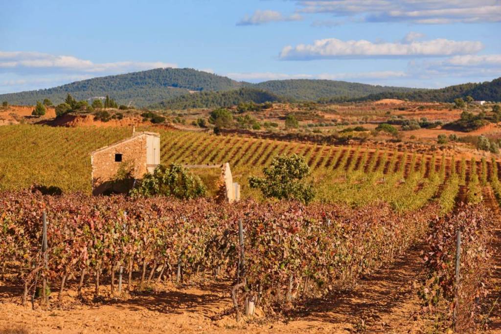 La mayor ruta enológica aterriza en Valencia: 30 bodegas en 23 locales en 7 barrios de la ciudad a partir de mayo