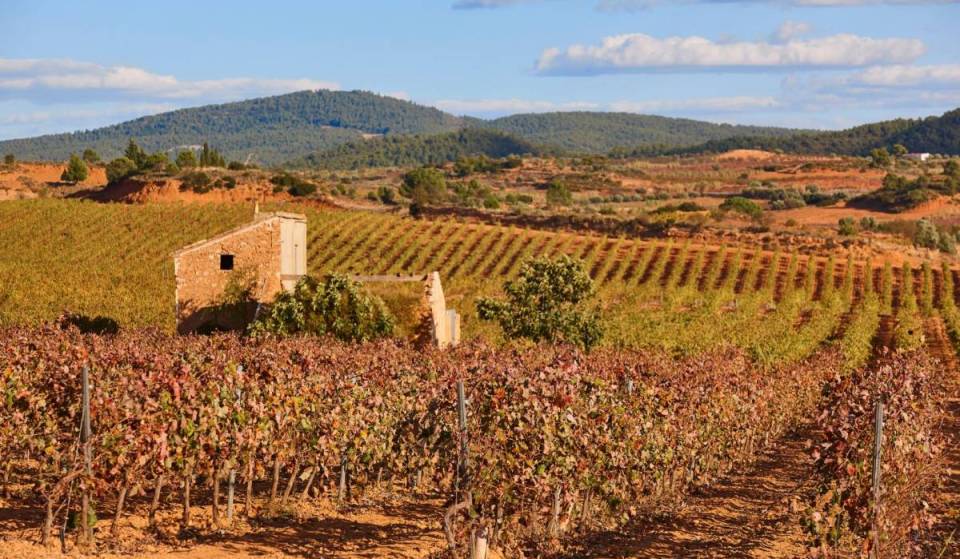The largest wine route arrives in Valencia: 30 wineries at 23 venues across 7 city neighborhoods starting in May