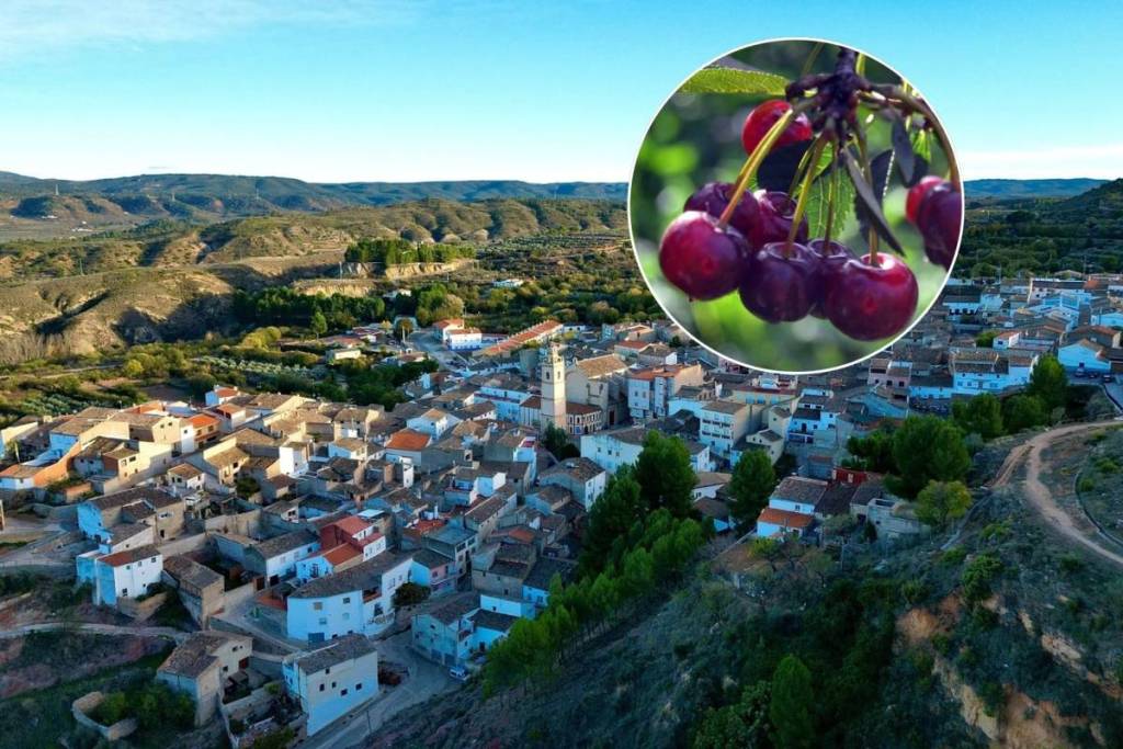 Mercato con vendita diretta di ciliegie in un paesino di Valencia con meno di 400 abitanti questo fine settimana