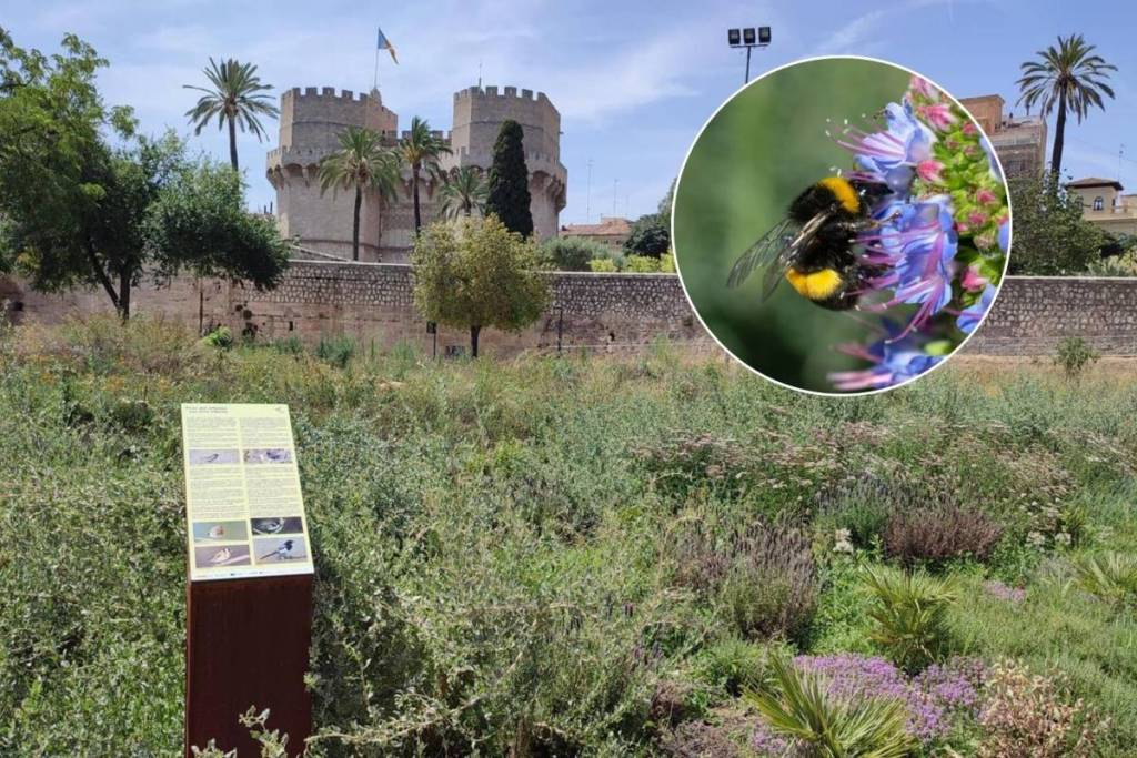 Más de 7.900 plantas, refugios para murciélagos y plantas para las abejas: así es el nuevo jardín que acaba de abrir en Valencia