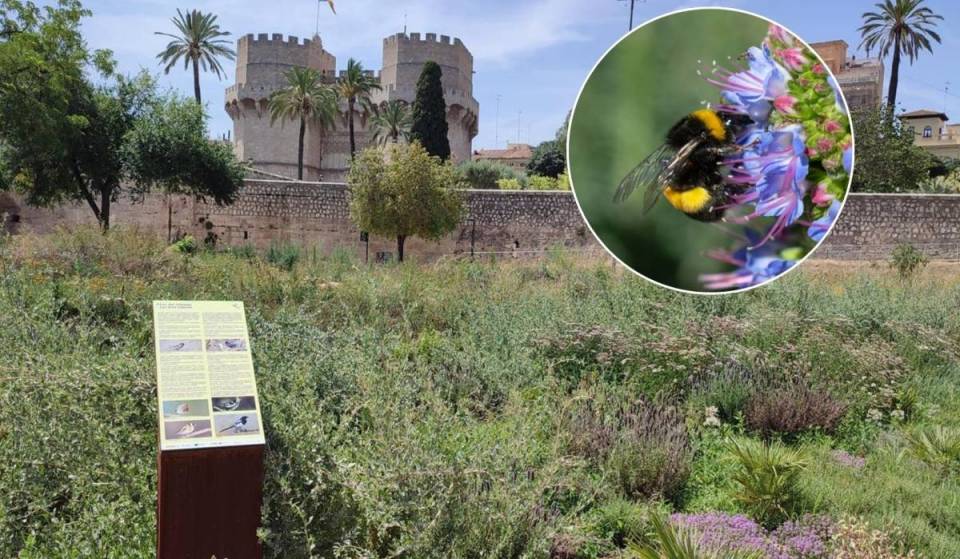 Más de 7.900 plantas, refugios para murciélagos y plantas para las abejas: así es el nuevo jardín que acaba de abrir en Valencia