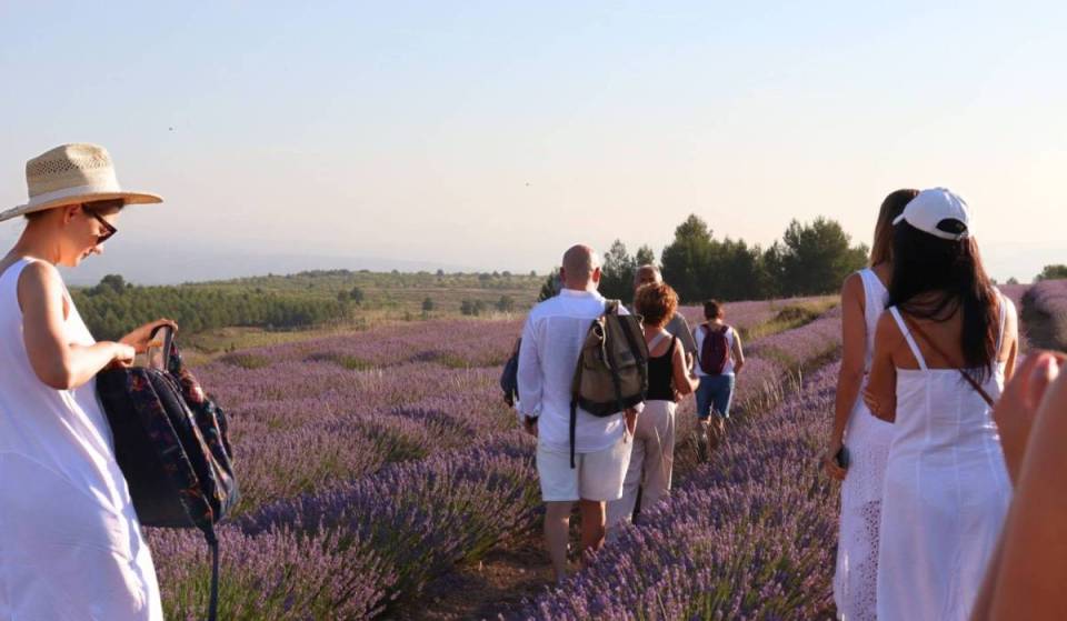 Né Brihuega né la Provenza: questo angolo di Valencia apre i suoi campi privati di lavanda a 10 euro solo fino al 19 luglio