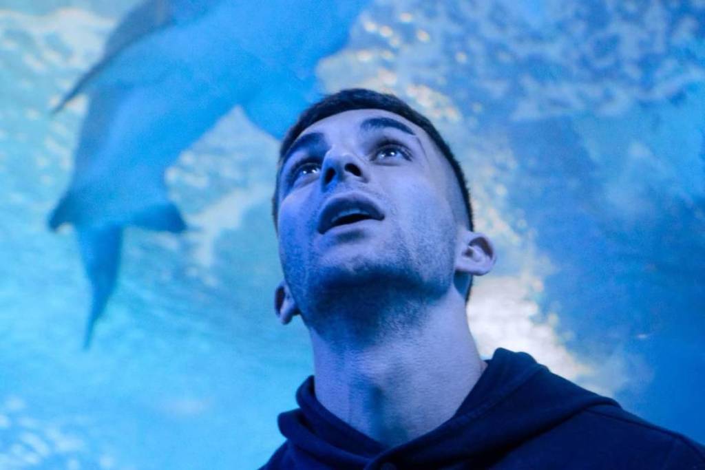 El homenaje más original del Mundial: bautizan a un tiburón con el nombre de Ferran Torres