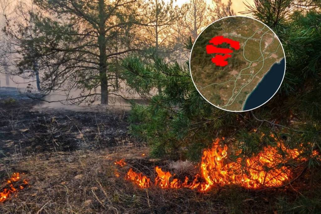 Incendio en La Vall d’Uixó: nuevas ayudas para los afectados y 10 días de permiso laboral