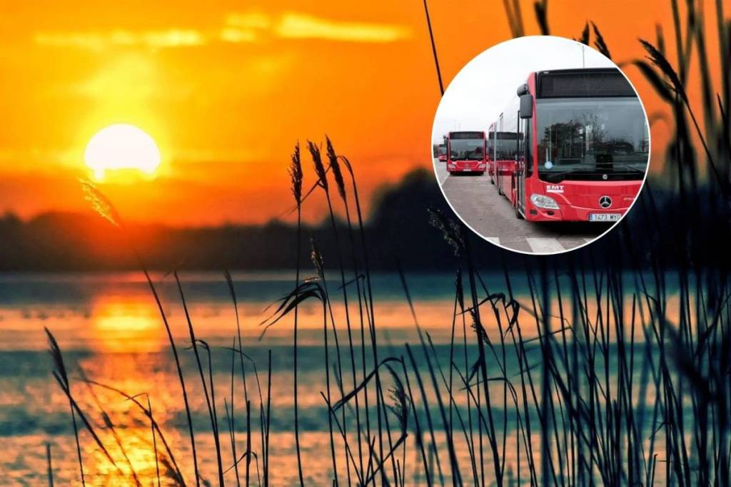 Operazione speciale a Valencia per l’eclissi solare: l’EMT metterà in campo 30 nuovi autobus e 400 dipendenti per collegare i quartieri alla Malvarrosa