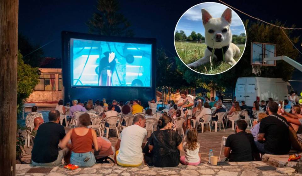 This weekend only: free movie night just 20 minutes from Valencia—bring your pet!