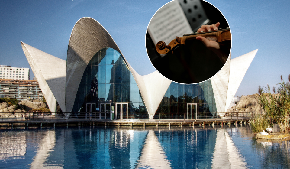 L’Oceanogràfic di Valencia organizza questo sabato un concerto dal vivo dedicato alla Disney: sono rimasti biglietti solo per la seconda sessione