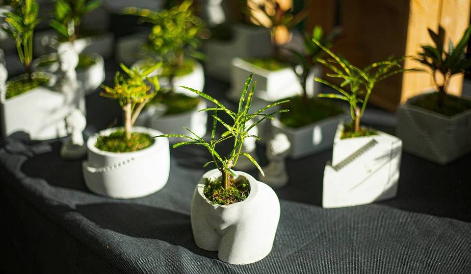 Wien, wie es blüht: Die schönsten Blumenmärkte der Stadt