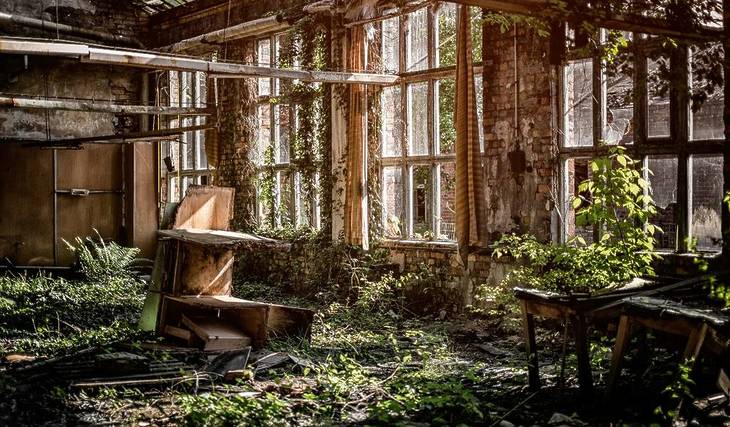 Vergessene Geschichten: 5 Lost Places in Wien, die euch zum Schaudern bringen