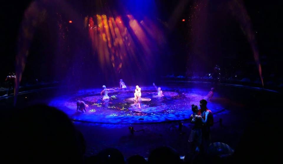 Top 5 musicals in Vienna that you should see this season