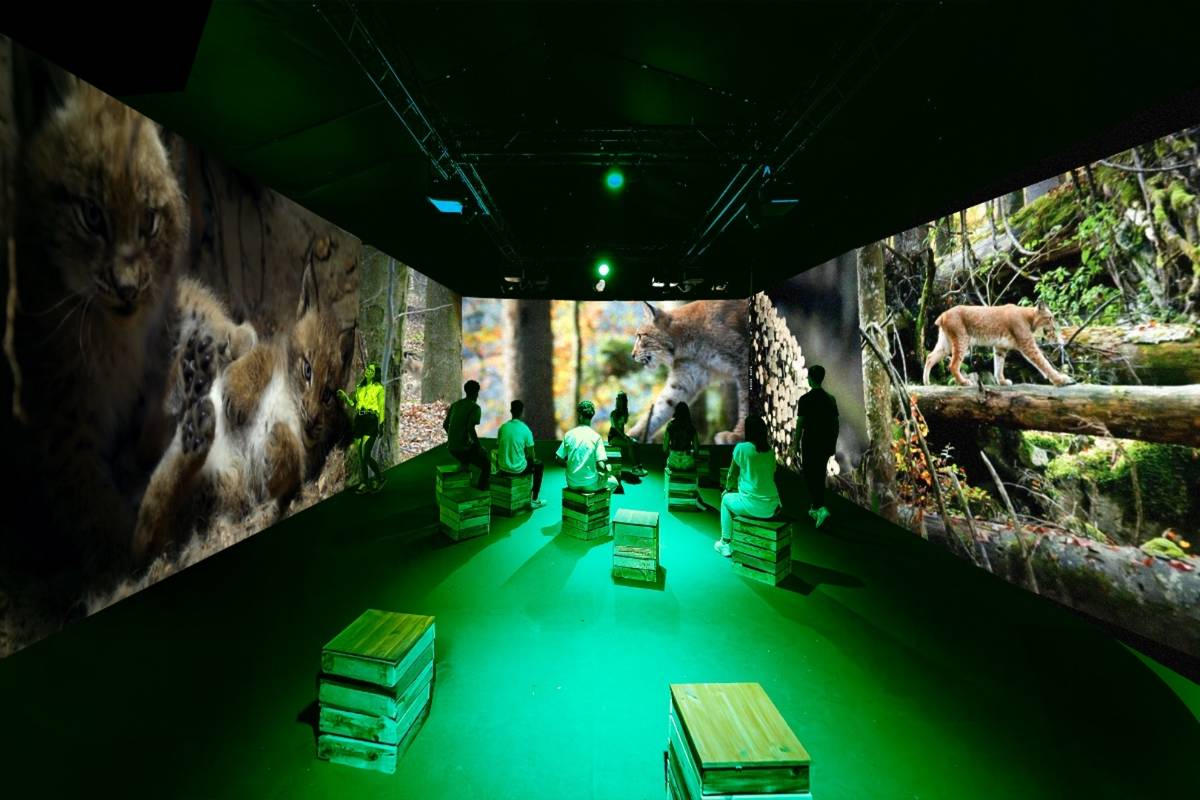 Planet der Tiere