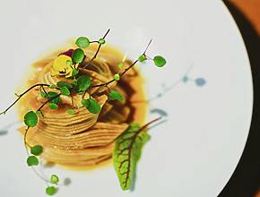 Das Steirereck liefert Österreich auf dem Teller: Warum dieses Wiener Restaurant als bestes der Welt zählt